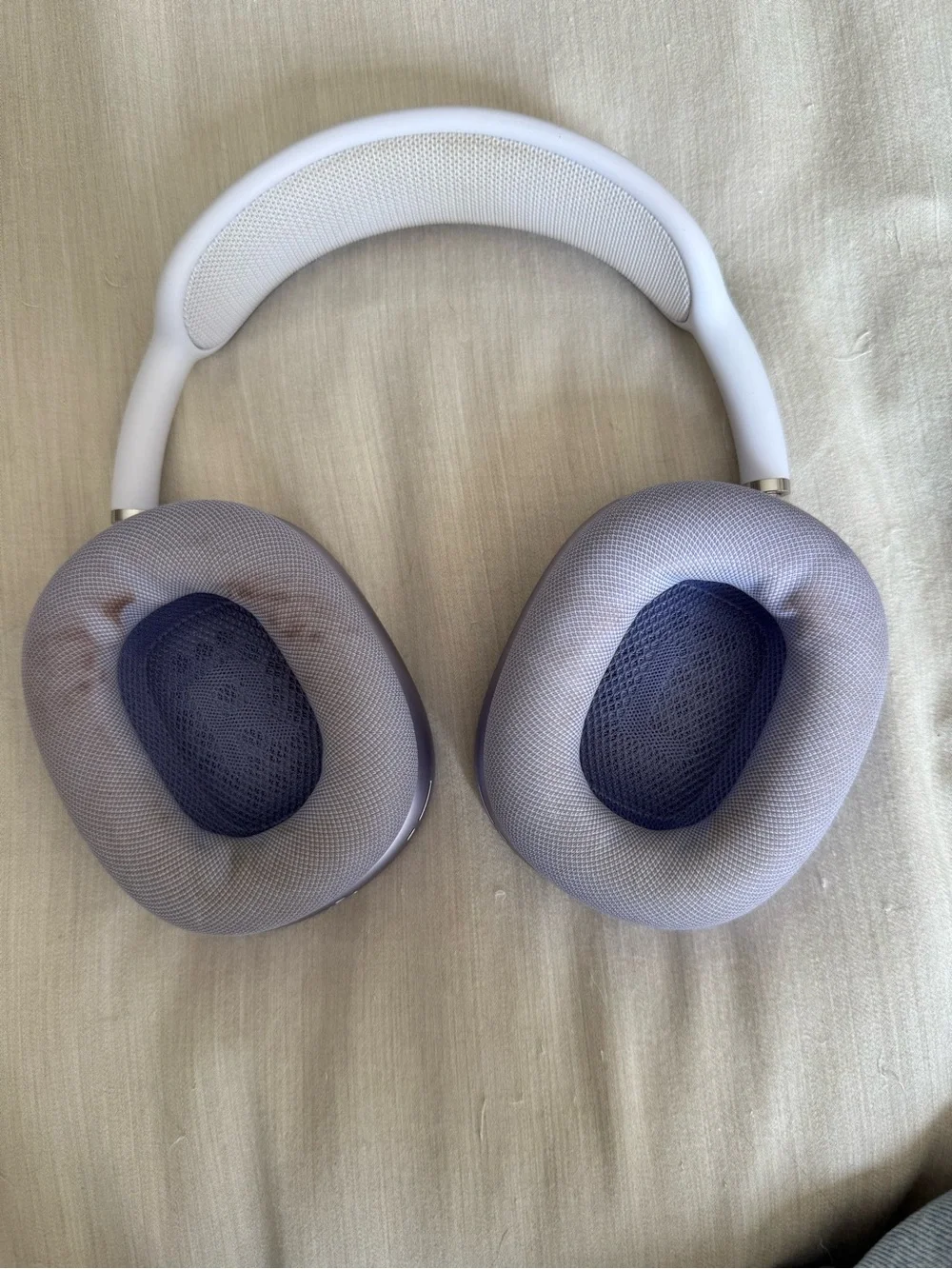 Apple staining muffs